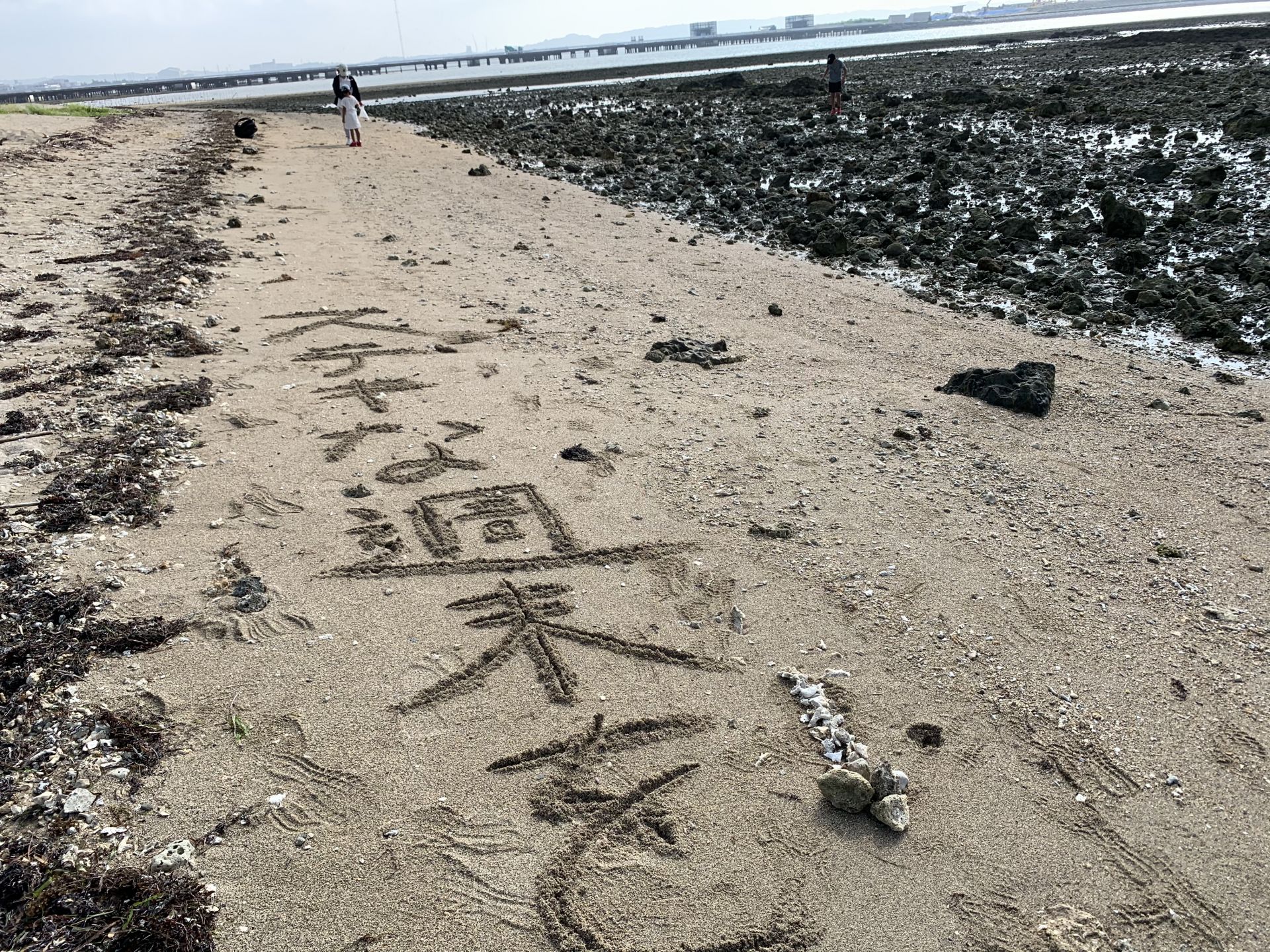 新生活おめでとうございます
